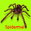 spidermel's Avatar