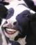 Holstein's Avatar